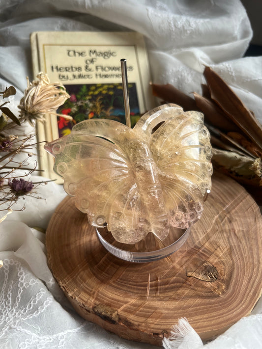 Fluorite butterfly shaped display crystal with stand C