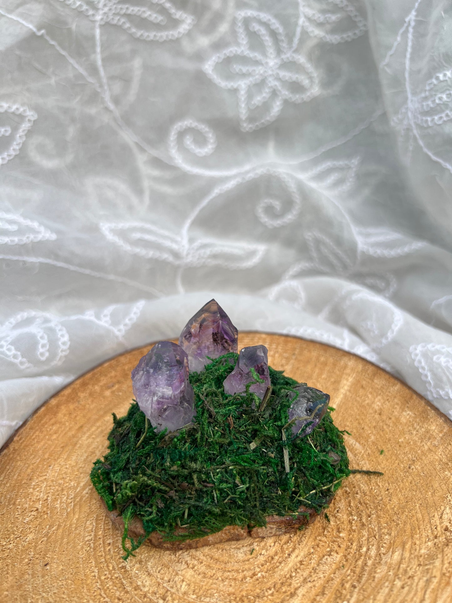 Mini Clear Quartz Crystal point Fairy Mountain