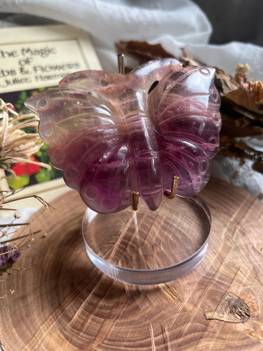 Fluorite butterfly shaped display crystal with stand B
