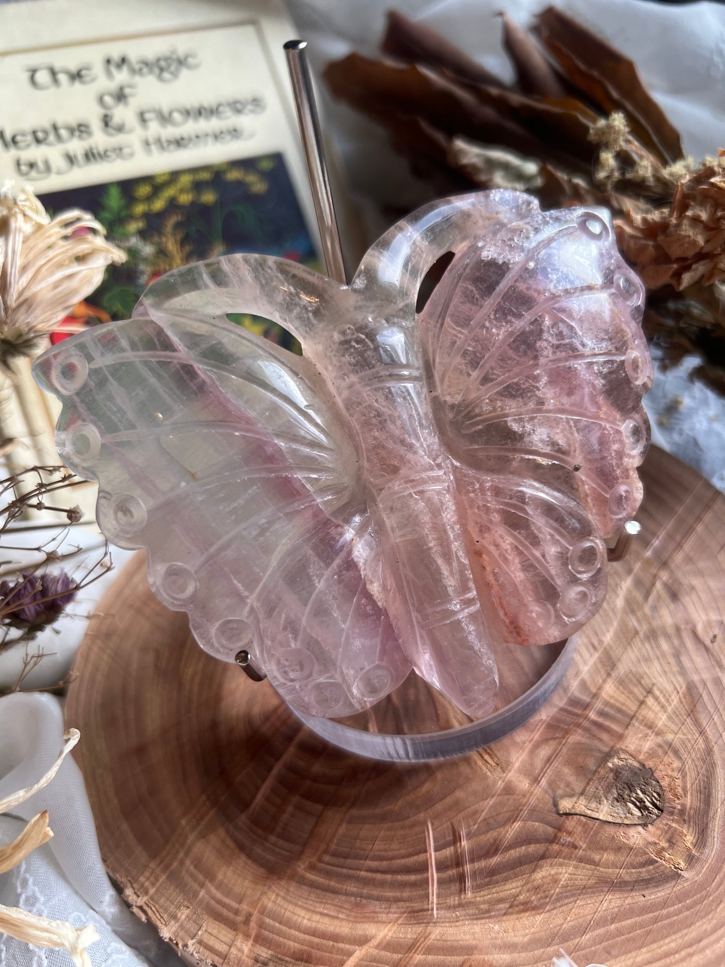 Fluorite butterfly shaped display crystal with stand A
