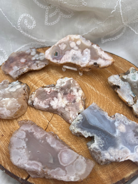 half polished flower agate slabs