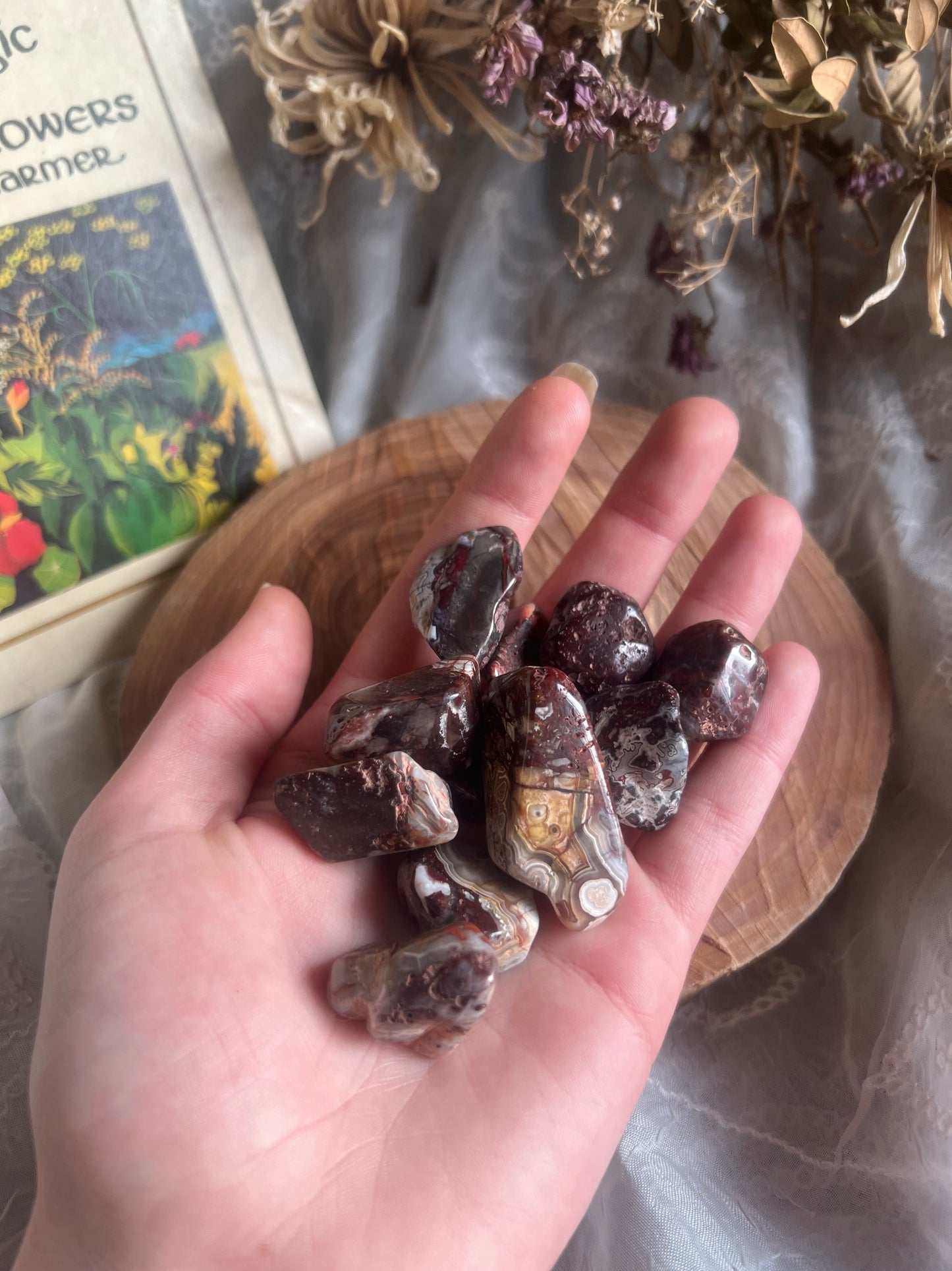 Red Crazy Lace Agate tumble stone