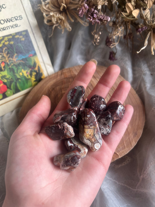 Red Crazy Lace Agate tumble stone