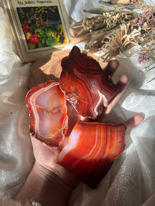 half polished carnelian slabs