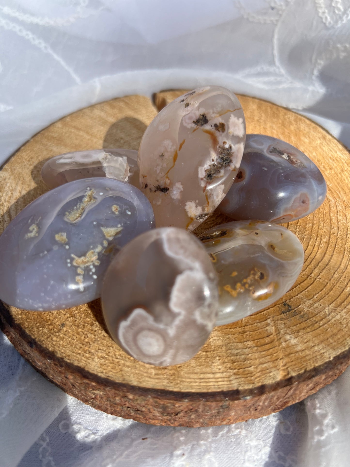 flower agate palm stone/pebbles