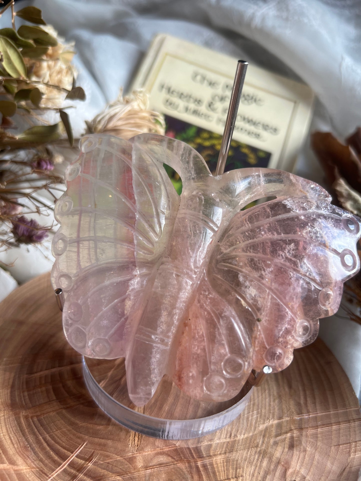 Fluorite butterfly shaped display crystal with stand A