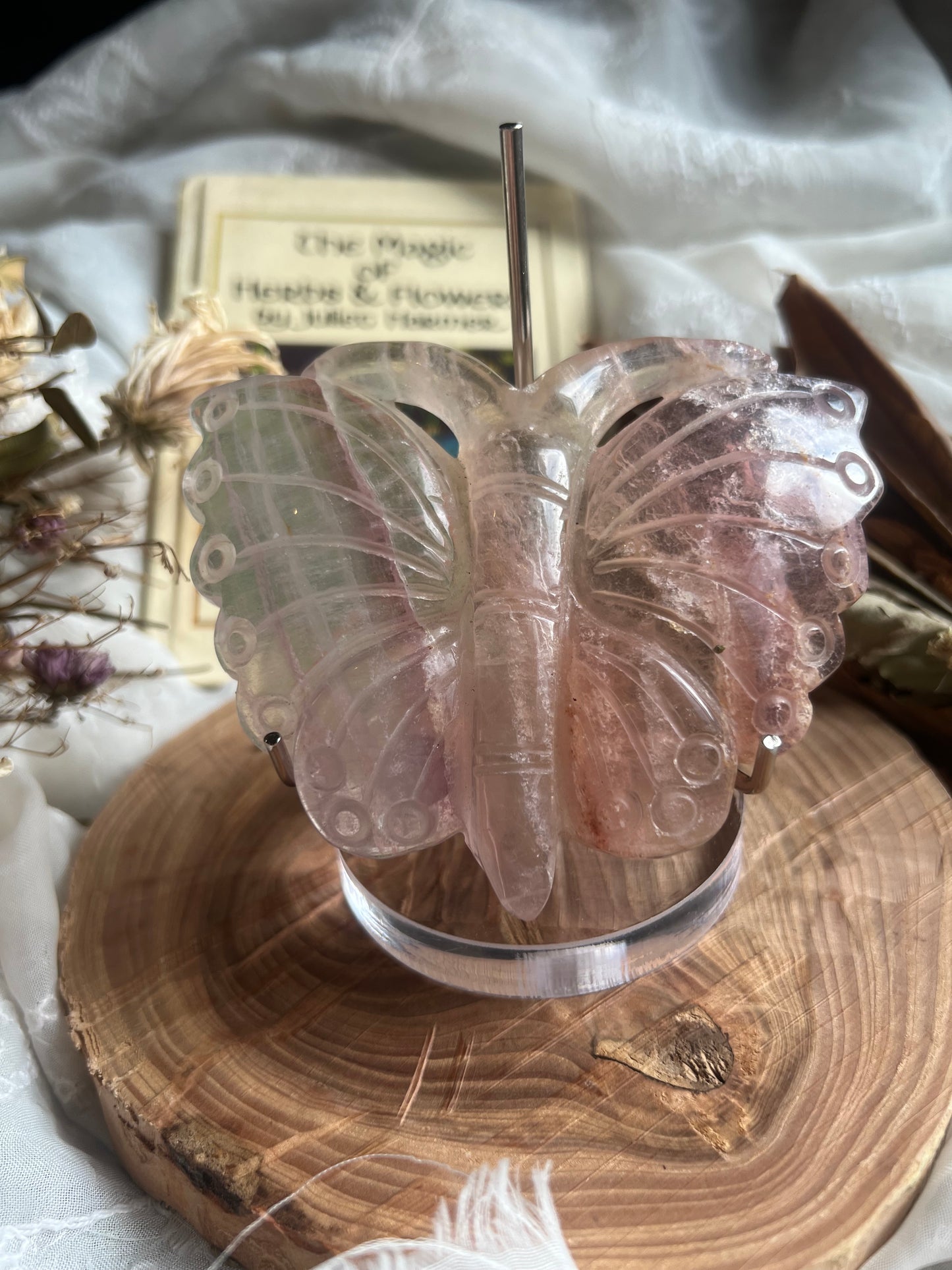 Fluorite butterfly shaped display crystal with stand A